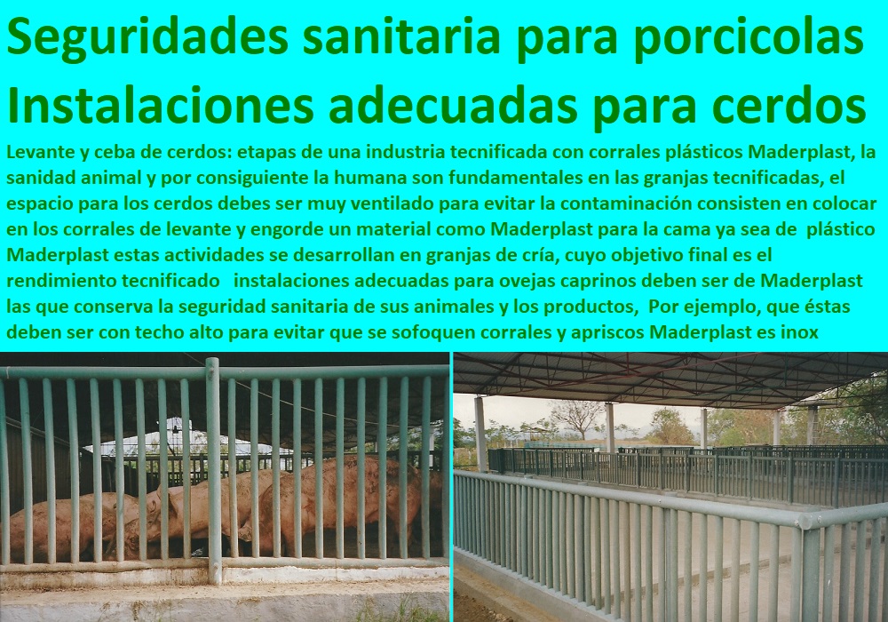 instalaciones adecuadas para ovejas caprinos deben ser de Maderplast las que conserva la seguridad sanitaria de sus animales y los productos,  Por ejemplo, que éstas deben ser con techo alto para evitar que se sofoquen instalaciones para cría de cerdos pdf, instalaciones y equipos para porcinos, instalaciones para cerdos, planos orientativos para instalaciones porcinas, corrales para cerdos tecnificados, corrales y apriscos M instalaciones adecuadas para ovejas caprinos deben ser de Maderplast las que conserva la seguridad sanitaria de sus animales y los productos,  Por ejemplo, que éstas deben ser con techo alto para evitar que se sofoquen corrales y apriscos M